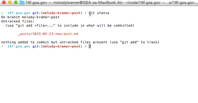 Screen Shot: Git Add Post / Status