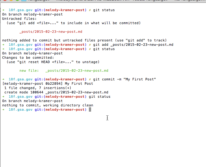 Screen shot: git commit