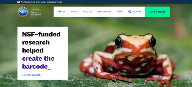 Screenshot of a nsf site